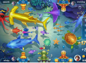 鲸鱼体育手机版