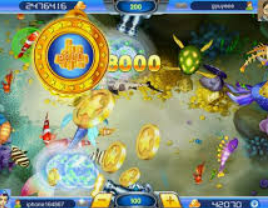 鲸鱼体育最新版