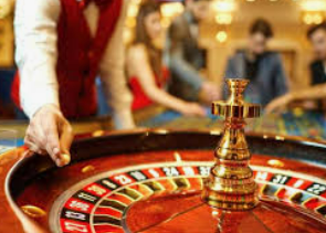 鲸鱼体育2024最新版